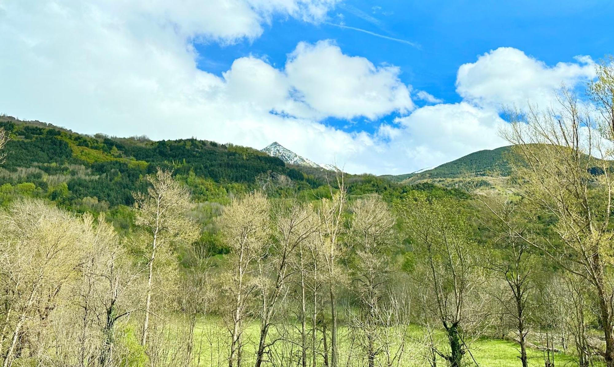 Bpirineos-Besurta Apartman Benasque Kültér fotó